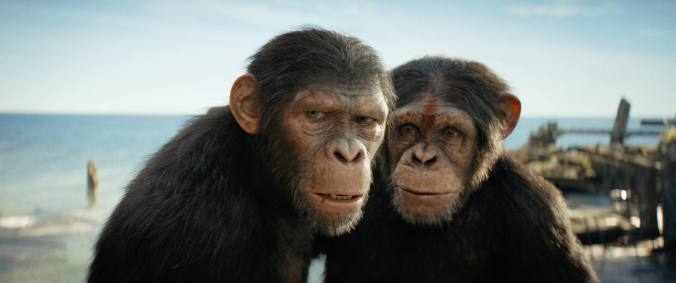 That Post-Credits Scene in Kingdom of the Planet of the Apes Sets Up the Wild New Trailer for Maze Runner: The Atomic Cure